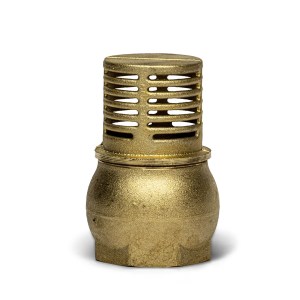 Válvula de Pie Bronce